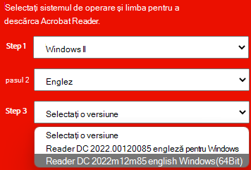 Fereastră care afișează lista verticală cu versiunile de instalare adobe.