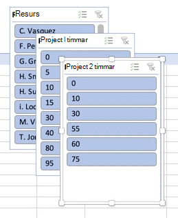 Pivottabell utsnitt i Excel för Mac.