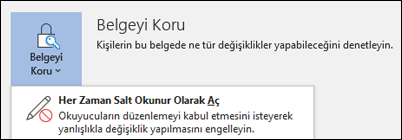 Belgeyi Koru denetimi seçili olduğundan, Her Zaman Salt Okunur Olarak Aç seçeneği gösteriliyor.