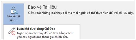 Điều khiển Bảo vệ Tài liệu đã được chọn, cho thấy tùy chọn Chỉ đọc luôn mở.