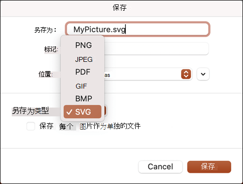 在已选择 SVG 选项的 PowerPoint 2021 for Mac 中另存为对话框