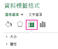 [資料標籤格式] 的 [大小與屬性] 圖示與窗格