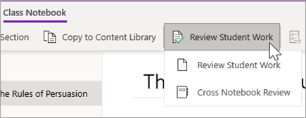 Review Student Work button. Review Student Work and Cross Notebook Review are options.