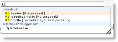 A kulcsszó beírásakor a rendszer felajánlja a rendelkezésre álló kifejezéseket és meglévő kulcsszavakat