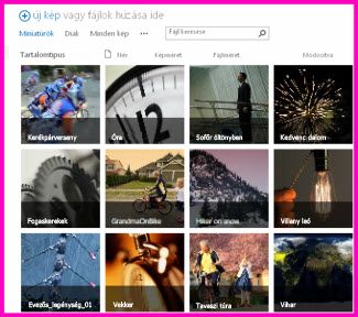 Képernyőkép egy SharePoint-eszköztárról. A tárban található videók és képek miniatűr képét jeleníti meg. Emellett a médiaeszközök szabványos metaadat-oszlopait is megjeleníti.