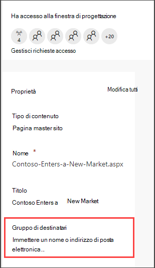 Riquadro dettagli pagine con l'opzione per l'accesso a un gruppo di destinatari