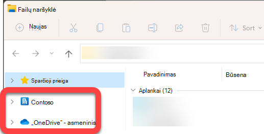 Kairėje Failų naršyklė pusėje esančioje naršymo srityje yra sinchronizuotos "SharePoint" bibliotekos ir sinchronizuotos "OneDrive" aukščiausio lygio aplankai.