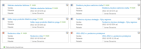 Dokumentų išsamios informacijos rodinys