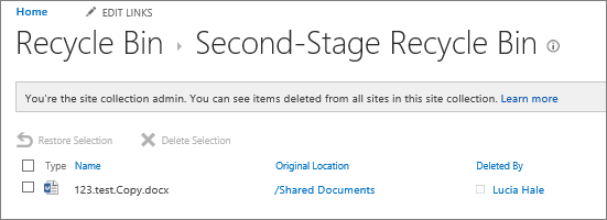 The admin's second stage recycle bin to undelete already deleted documents