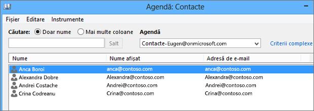 Atunci când persoanele de contact sunt importate din Google Gmail în Office 365, le veți vedea listate în Agendă: Persoane de contact