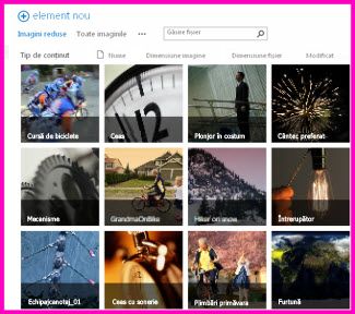 Captură de ecran a unei Biblioteci de active în SharePoint. Acesta afișează imagini în miniatură cu mai multe videoclipuri și imagini pe care le conține biblioteca. De asemenea, afișează coloanele de metadate standard pentru active media.