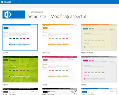 Exemple de aspecte disponibile pentru particularizarea site-ului comunității