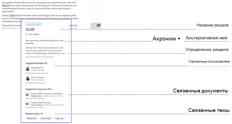 Схема, показывающая свойства раздела в Viva Topics