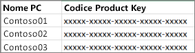 Esempio di un elenco a due colonne di codici Product Key.