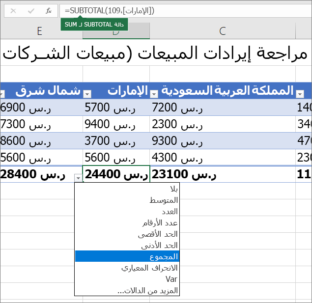 مثال على تحديد صيغة صف الإجمالي من القائمة المنسدلة صيغة صف الإجمالي
