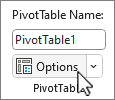 Knappen Indstillinger for pivottabel