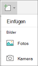 Wählen Sie > Fotos einfügen aus.