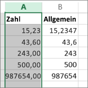 Beispiel für die Anzeige von Zahlen mit unterschiedlichen Formaten wie 'Zahl' und 'Allgemein'