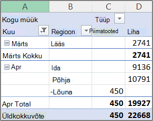 PivotTable-näidisaruanne