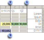 לפני הערכת Solver