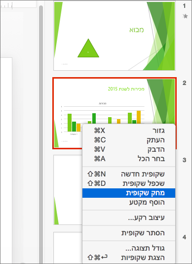 מחיקת שקופית