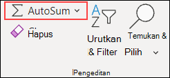 Excel untuk JumlahOtomatis Web