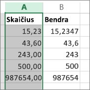 pavyzdys, kaip skaičiai rodomi skirtingais formatais, pavyzdžiui, formatais Skaičius ir Bendras.