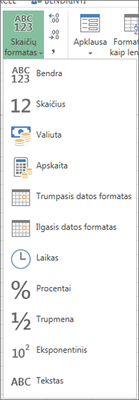 Galimi skaičių formatai