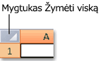 Mygtukas Žymėti viską