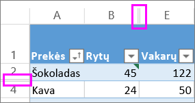 dvigubos linijos tarp eilučių ir stulpelių rodo paslėptas eilutes arba stulpelius