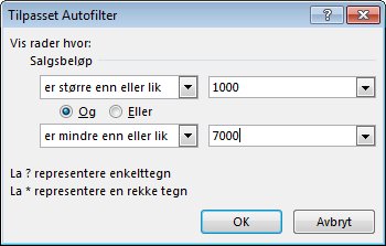 Dialogboksen Tilpasset Autofilter