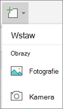 Wybierz pozycję Wstaw > zdjęcia