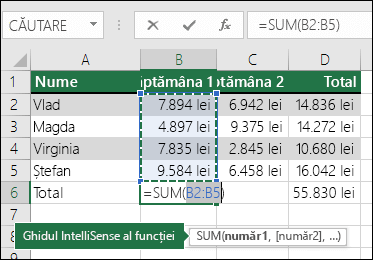 Celula B6 arată formula de sumă Însumare automată: =SUM(B2:B5)