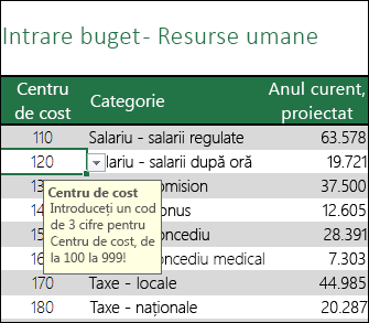 Atunci când utilizatorii selectează celula, se afișează un mesaj de intrare