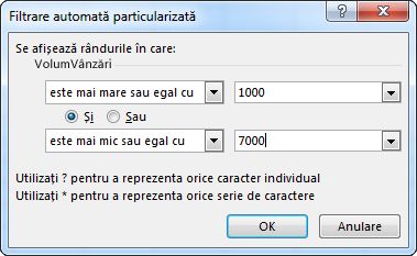 Caseta de dialog Filtrare automată particularizată