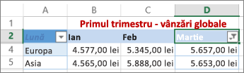 Rezultatele aplicării unui filtru număr particularizat