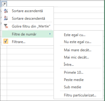 opțiunile de filtrare particularizată disponibile pentru valori numerice.