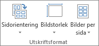 Gruppen Utskriftsformat
