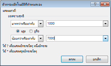 กล่องโต้ตอบ ตัวกรองอัตโนมัติที่กำหนดเอง