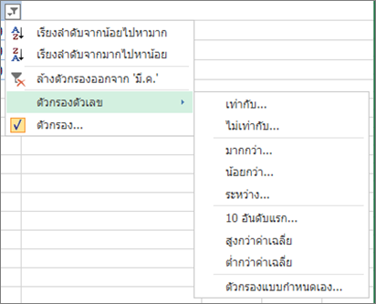 ตัวเลือกการกรองแบบกำหนดเองมีให้ใช้งานสำหรับค่าตัวเลข