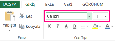 Excel Şeridindeki yazı tipi seçenekleri