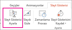 Slayt Gösterisi Ayarla düğmesi