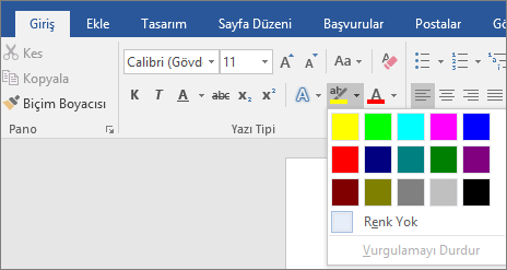 Metin Vurgu Rengi seçenekleri Giriş sekmesinde gösterilir.