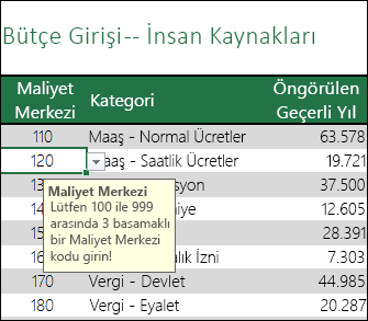 Kullanıcılar hücre seçtiğinde bir girdi iletisi görüntülenir.