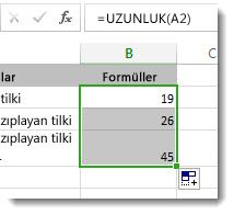 Çalışma sayfasına birden fazla UZUNLUK işlevi girme