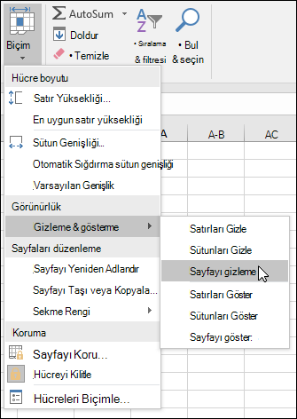 Giriş > Hücrelerden çalışma sayfalarını gizleme veya gösterme > > Genişletilebilirlik > Gizle & Gösterme