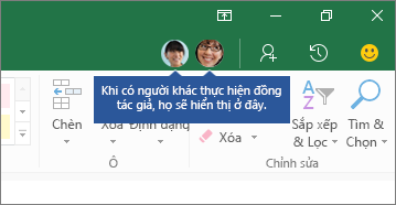 Biểu tượng Mọi người, Khi có người khác thực hiện đồng tác giả, họ sẽ hiển thị ở đây