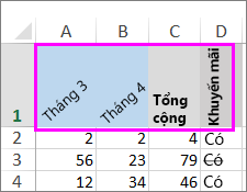 Hàng văn bản được xoay ở các cấp độ khác nhau.