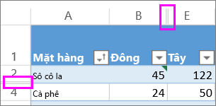 Đường đôi giữa hàng và cột chỉ ra các hàng hay cột ẩn