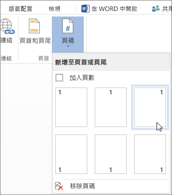 Word Online 中的頁碼庫